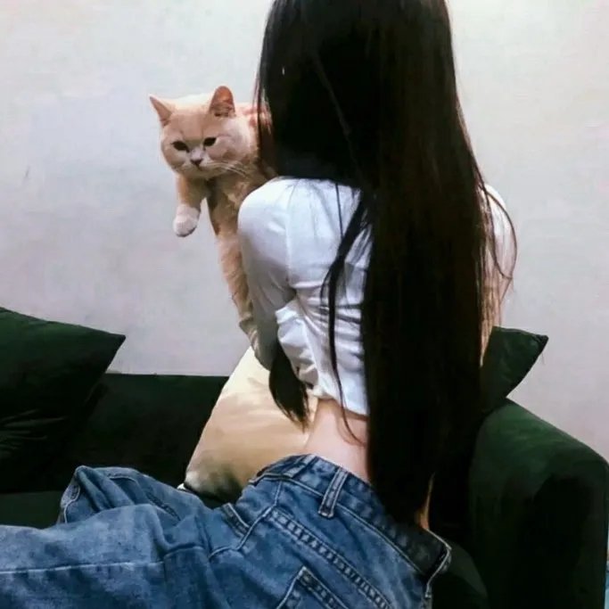 疯狂兔宝